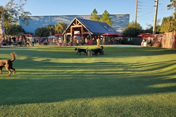 BrewHound Dog Park + Bar